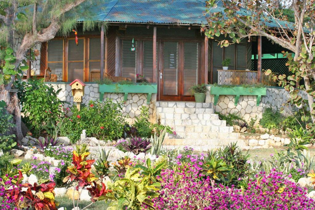 Catcha Falling Star Negril Phòng bức ảnh