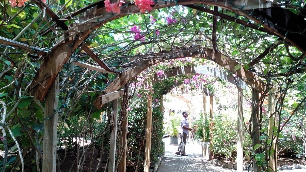 Catcha Falling Star Negril Ngoại thất bức ảnh